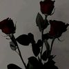 nidi.rajpoot822