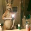 geekindonkeyzzz