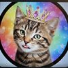 nala.my.kitten777