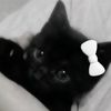 xkittyxchanx