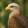 jamil.ahmed7581