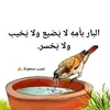 ilyass_boukili