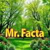 Mr.Facta 279