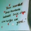 semamemmedeliyeva010