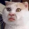mikomiko2227