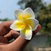 nil.pakhi9909