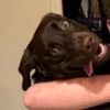 brody.desper