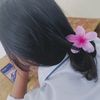 sellukkk2010