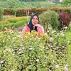 mama.fahmy8