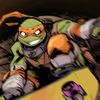 .turtle.vr