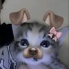m_ilik4