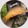 rd.fishtok