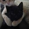 zainab.mohammad494