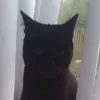 sweet_binx