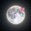 noraahmed0380