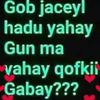 bishaar.yare7