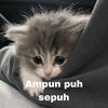 24_afiqahh