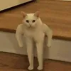 fitfelix04