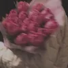 nour25n4