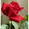juman