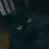 alexg_isthebest