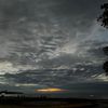 rzha_221