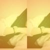mirna06296