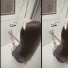 _lnhi210