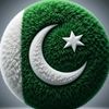 rana.sohail3962