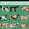 luis.bolivar0894