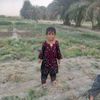 sabirbaloch8750