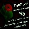 user78760603454247
