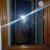 ngellzz13