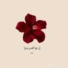 maryah.hammad