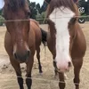 celou_1304