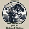 habilbesi_27