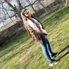 glcan.emilova
