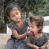 shah.zeb2142