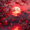 hussain.hussain1195