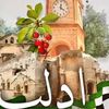 mahmodhasan313