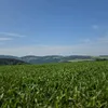 untergriesbach.dn