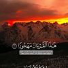 user9321438625571