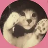 eamary11