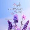 user26381245636022