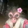 anilu_.ok