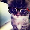 layal.7