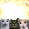 hello_imher3