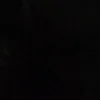 wtf.is.burikat00