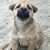 nhattttphiiiii2509