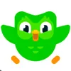 duolingo_cade_o_dever